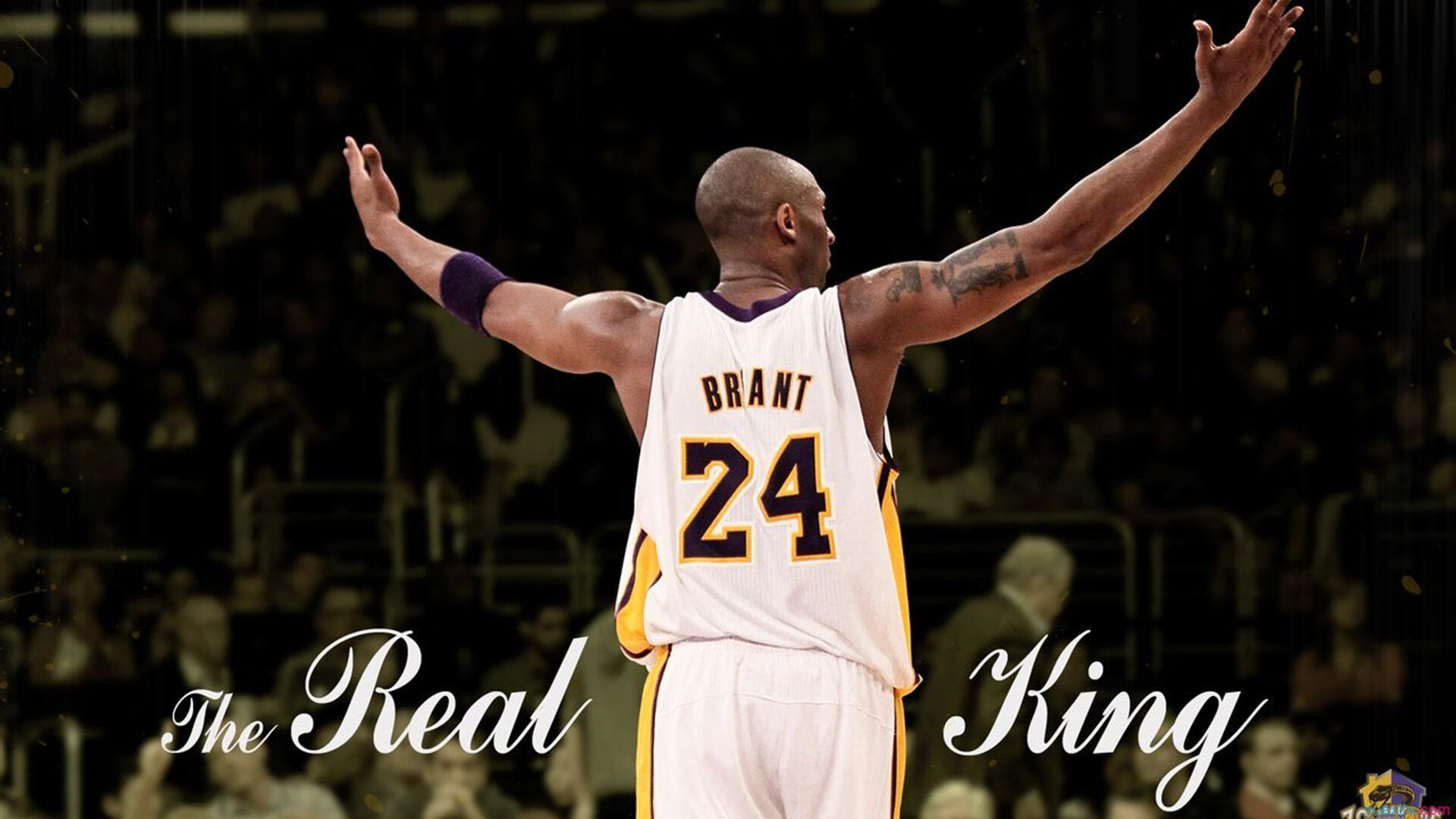 开云平台-猛龙硬仗取胜广厦队，一场跨越篮球文化的季后赛焦点战